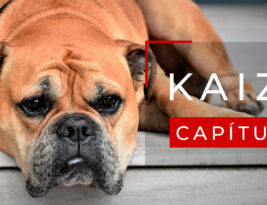 #25 ¿Para qué sirve el aburrimiento?