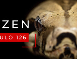 #126 Modelos Mentales 16: Agentes inmobiliarios, Tyson y hacer la cobra