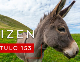 #153 Persuasión (IV): Vendiendo burras y derribando barreras