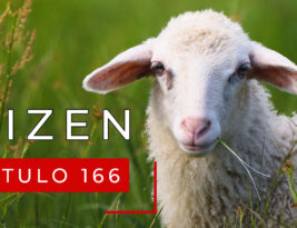 #166 Toma de decisiones (VII): Resolución de problemas – pastores, Steve Jobs y la consultoría